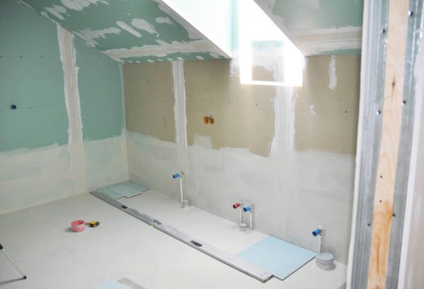 Best Mold Damage Restoration  in Sugar Land, TX