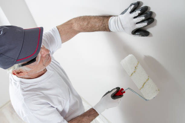 Reliable Sugar Land, TX Mold Removal Solutions