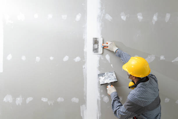 Best Environmental Consulting for Mold Prevention  in Sugar Land, TX