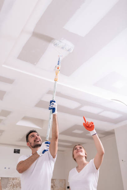 Best Forensic Mold Investigation  in Sugar Land, TX