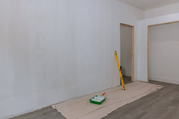 Best Real Estate Mold Inspection  in Sugar Land, TX