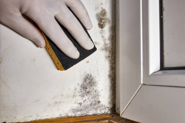 Best Indoor Air Quality Assessment  in Sugar Land, TX