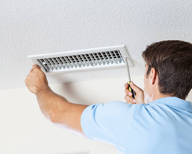Mold Odor Removal Services in Sugar Land, TX
